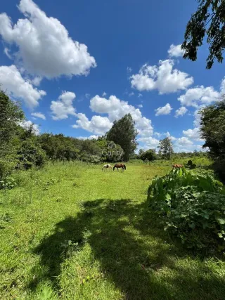 Área rural, foto 21