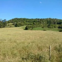Campo gramado sob um céu azul.