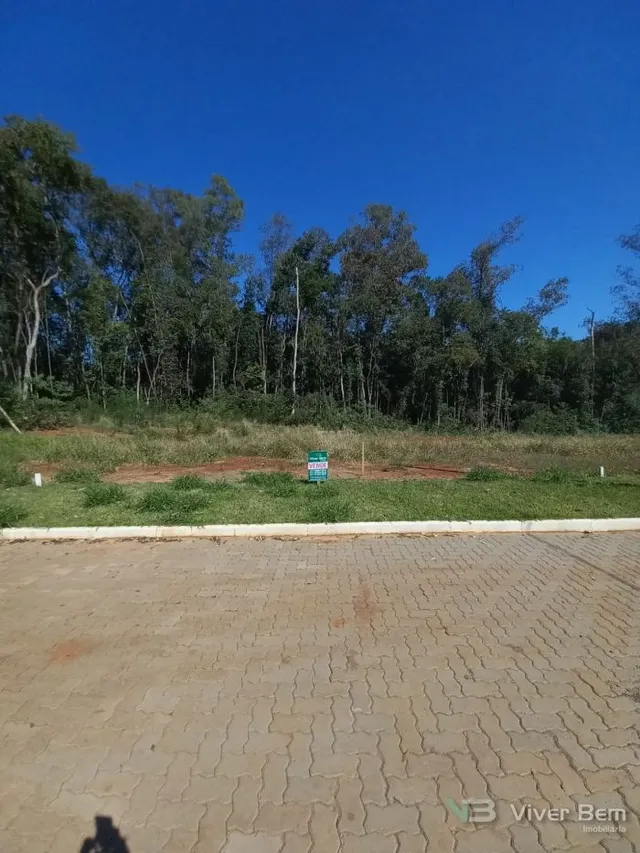 Terreno, foto 2