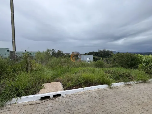 Terreno, foto 3