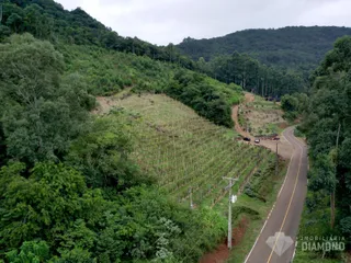 Área rural, foto 3