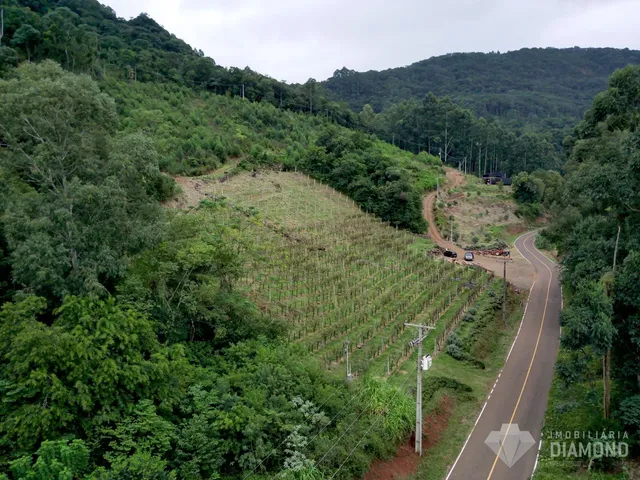 Área rural, foto 3