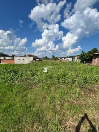 Terreno, foto 2
