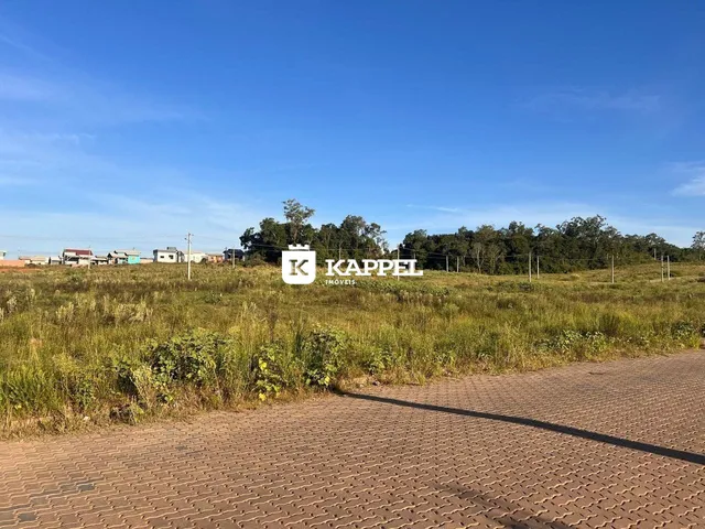 Vista externa de um campo aberto com vegetação seca ao fundo sob um céu azul.