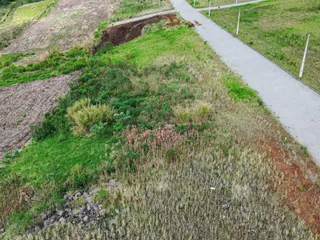 Terreno, foto 3