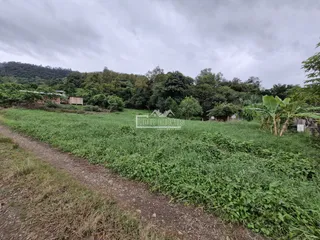 Terreno, foto 1