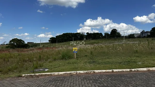 Vista aérea de uma área de campo gramado com vegetação e uma estrada no primeiro plano.