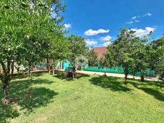 Vista externa de um quintal com gramado verde e árvores.