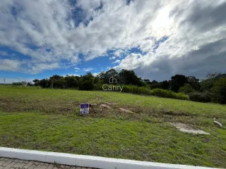 Terreno, foto 1