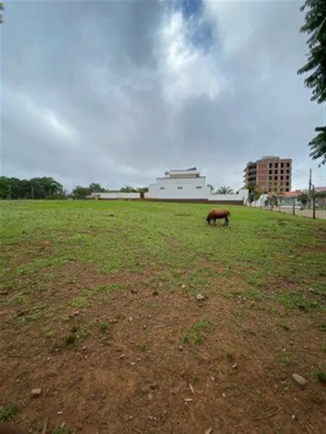 Terreno, foto 5
