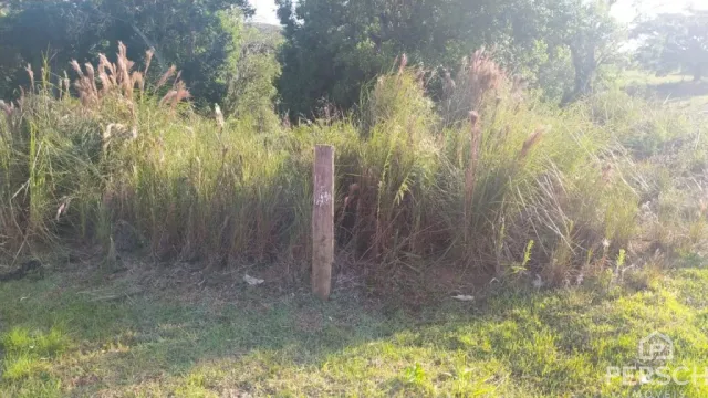 Terreno, foto 4