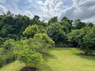 Gramado verde com vegetação densa ao fundo da propriedade.