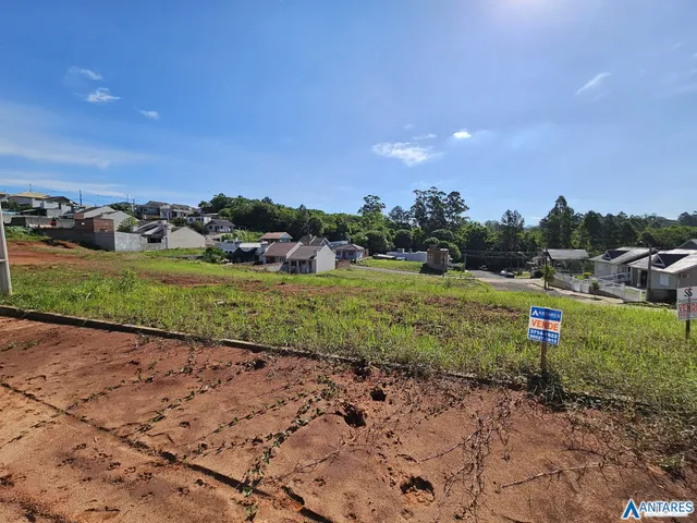 Terreno, foto 2