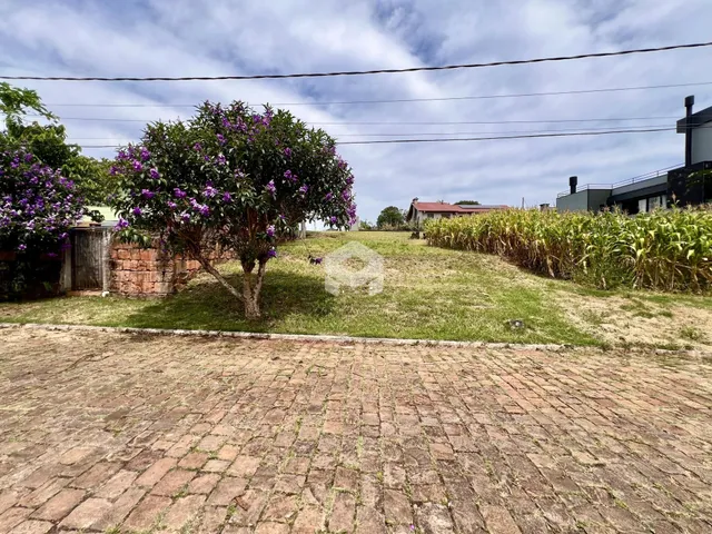 Vista externa do terreno com grama e vegetação ao fundo.