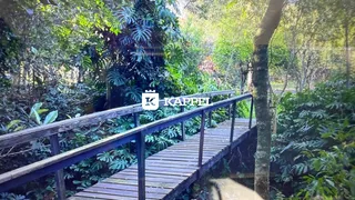 Uma passarela de madeira com grades metálicas atravessa uma área densa de vegetação.
