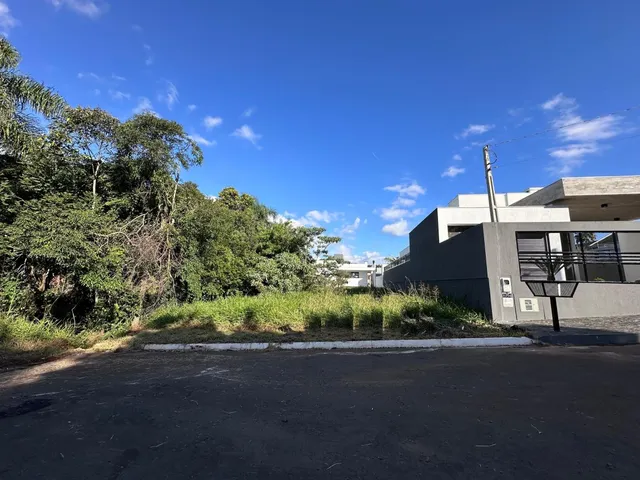 Vista externa da propriedade mostrando área de paisagismo e pavimento.