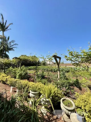 Vista externa de um jardim com vegetação densa e vasos no primeiro plano.