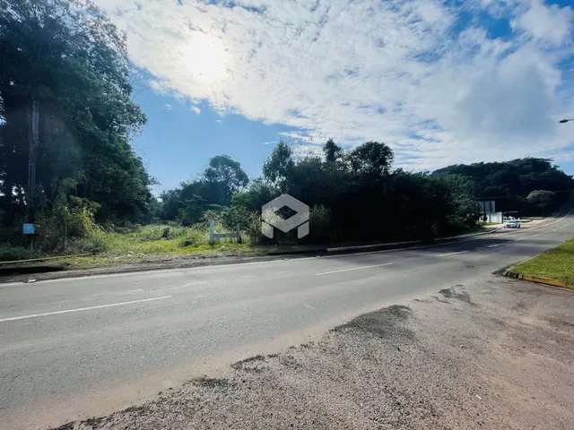 Vista de uma estrada rural com vegetação densa ao fundo.