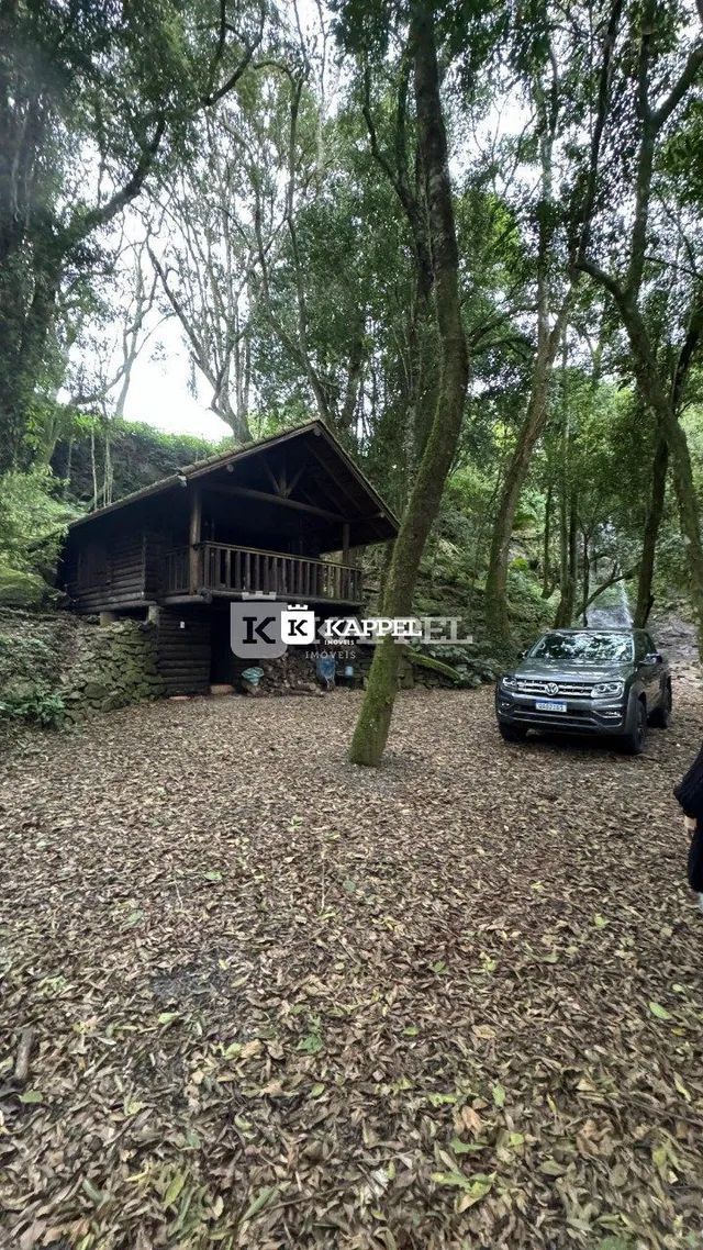 Foto da fachada de uma cabana de madeira em uma área arborizada.