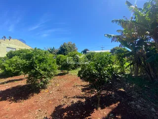 Terreno, foto 3