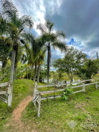Área rural com 3 dormitórios, foto 3