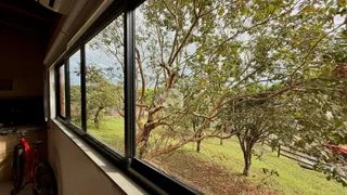 Vista da propriedade através da janela mostrando a vegetação externa.