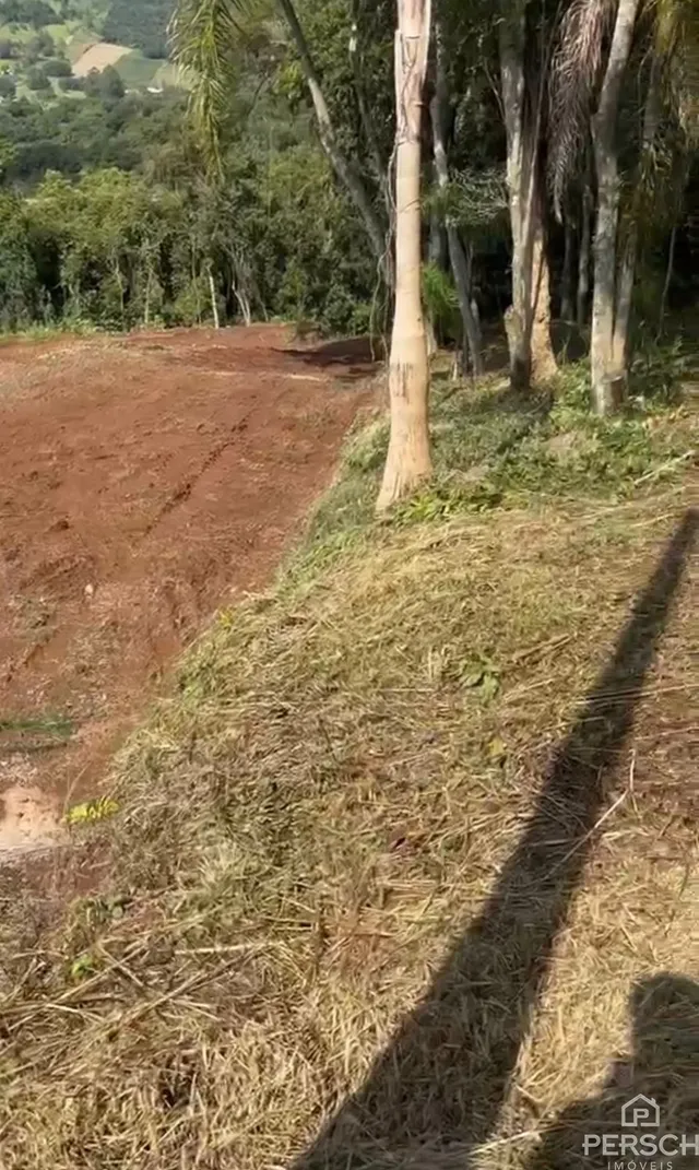 Área rural