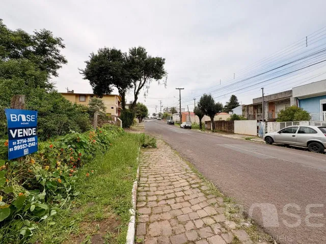 Terreno, foto 2
