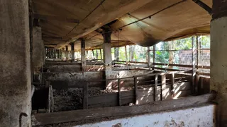 Área rural, foto 8
