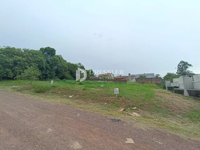A foto mostra uma estrada de terra e uma encosta gramada com vegetação ao fundo.
