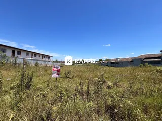 Vista de uma área externa com vegetação alta e cercas no fundo.