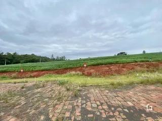 Terreno, foto 2