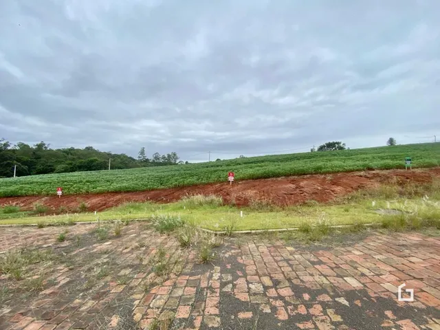 Terreno, foto 2