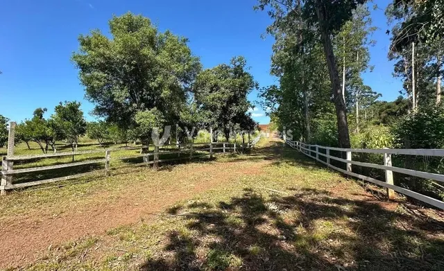 Área rural