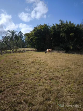 Terreno, foto 1