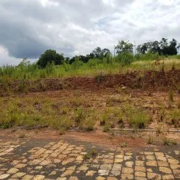 Vista de terreno com vegetação seca e área de terra no primeiro plano.