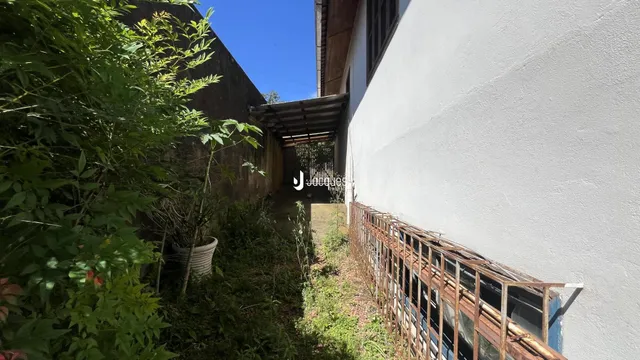 Vista lateral de uma parede branca com vegetação densa ao lado.