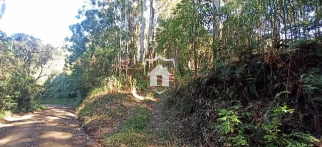 Área rural
