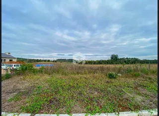 Paisagem de campo com vegetação rasteira em primeiro plano.