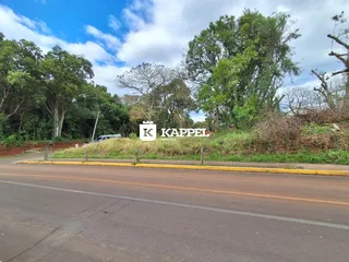 Vista externa da propriedade ao longo de uma estrada com vegetação densa.