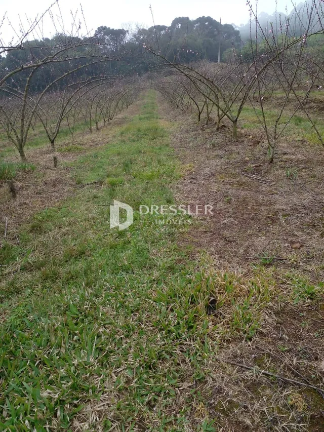 Área rural, foto 4