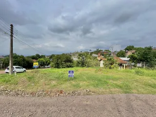 Vista externa de uma propriedade rural com vegetação e estrada de terra.