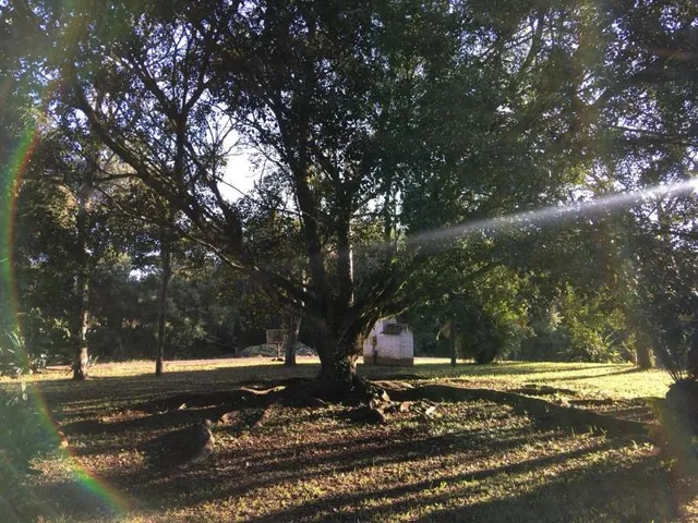 Casa com 7 dormitórios, foto 3