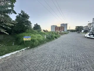 Vista da rua com vegetação e edifícios ao fundo.
