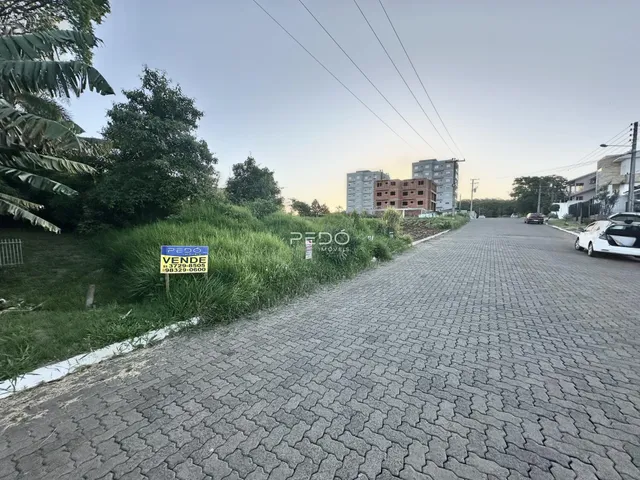 Vista da rua com vegetação e edifícios ao fundo.