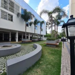 Jardim externo com gramado e palmeiras em uma propriedade em Lajeado.