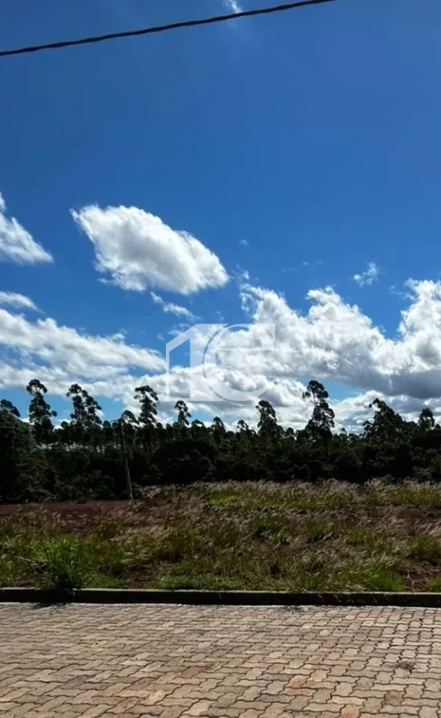 Terreno, foto 4