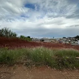 Vista de vegetação seca em uma área externa com céu nublado.