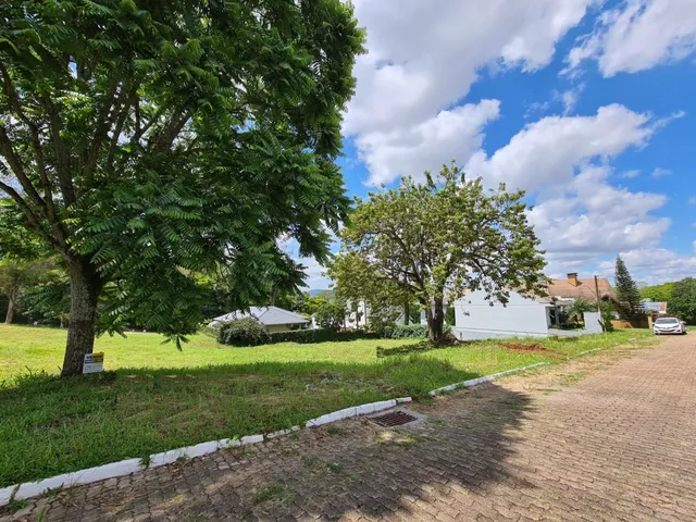 Vista externa de um terreno com gramado e vegetação ao ar livre.