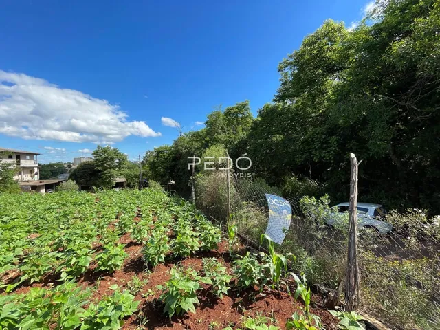 Terreno, foto 3